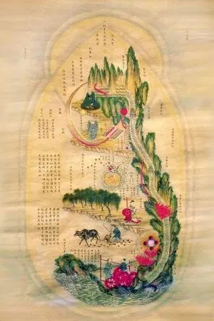 Acupuncture by Kim newsletter image